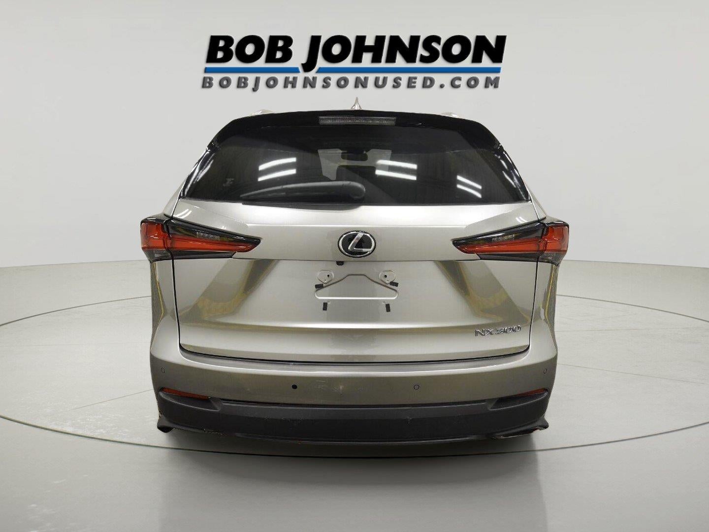 2019 Lexus NX NX 300