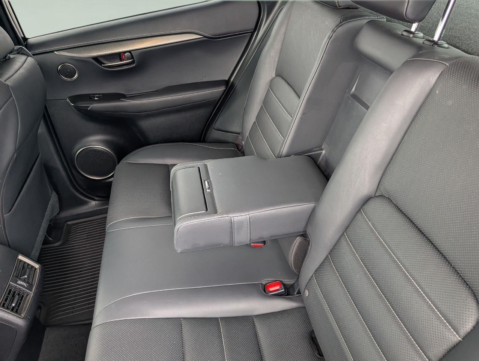 2019 Lexus NX 300 NX 300 F SPORT