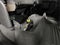 2020 Chevrolet Silverado 1500 4WD Crew Cab Short Bed LT